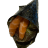 Zalm Handroll (1st)
