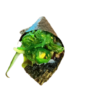 Vegetarische Handroll (1st)